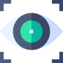 eye